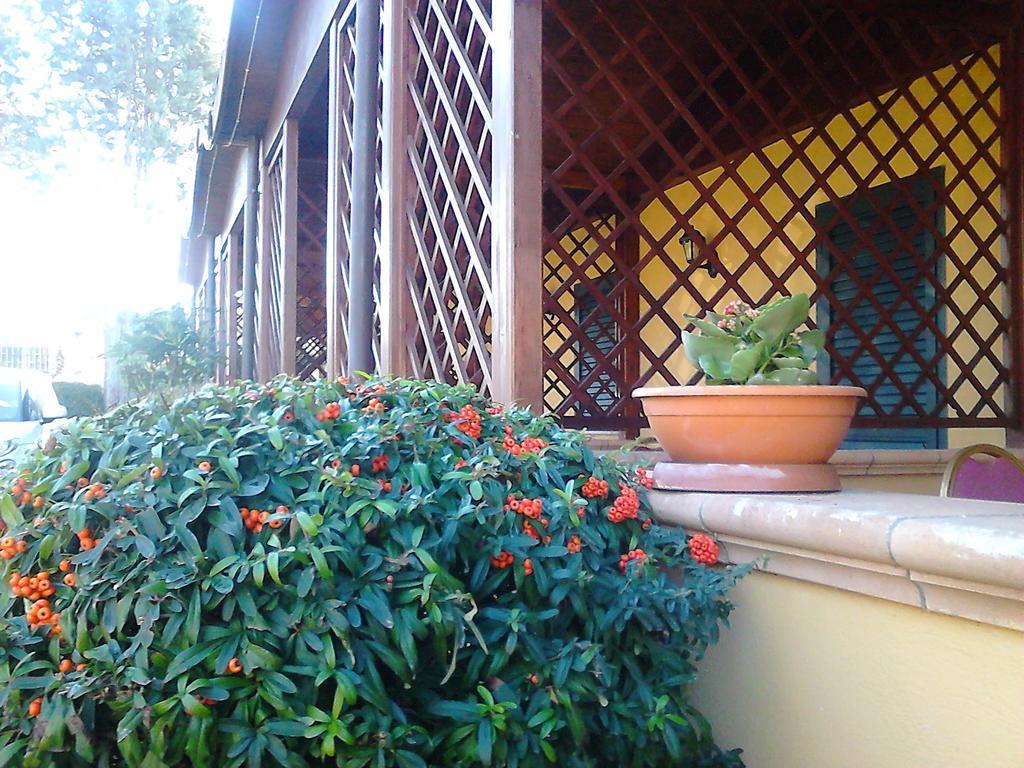 Hotel Federico II Napoli Ngoại thất bức ảnh